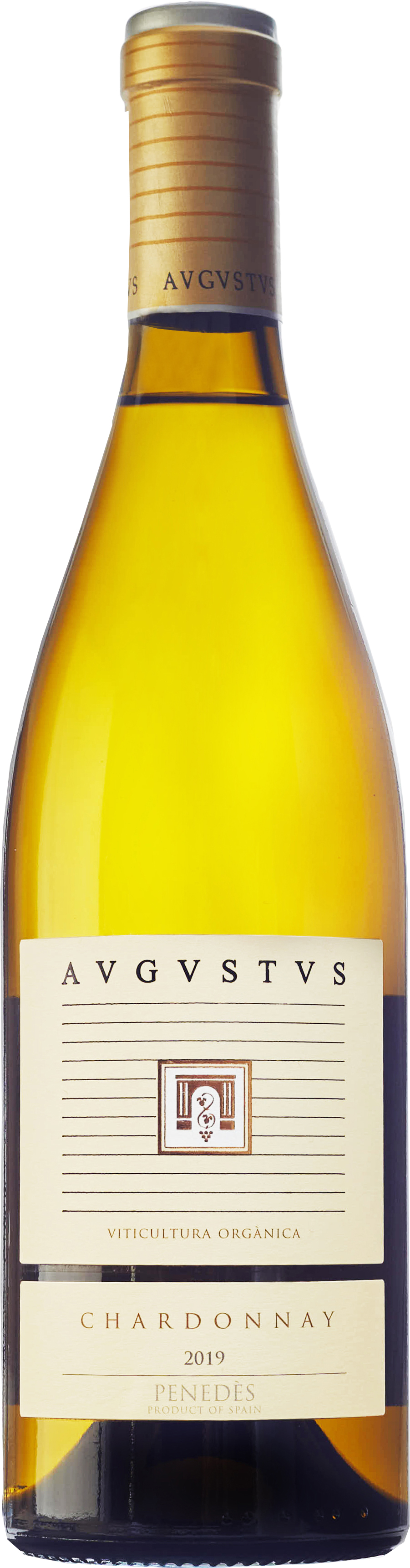 Avgvstvs Chardonnay 2021 EKO
