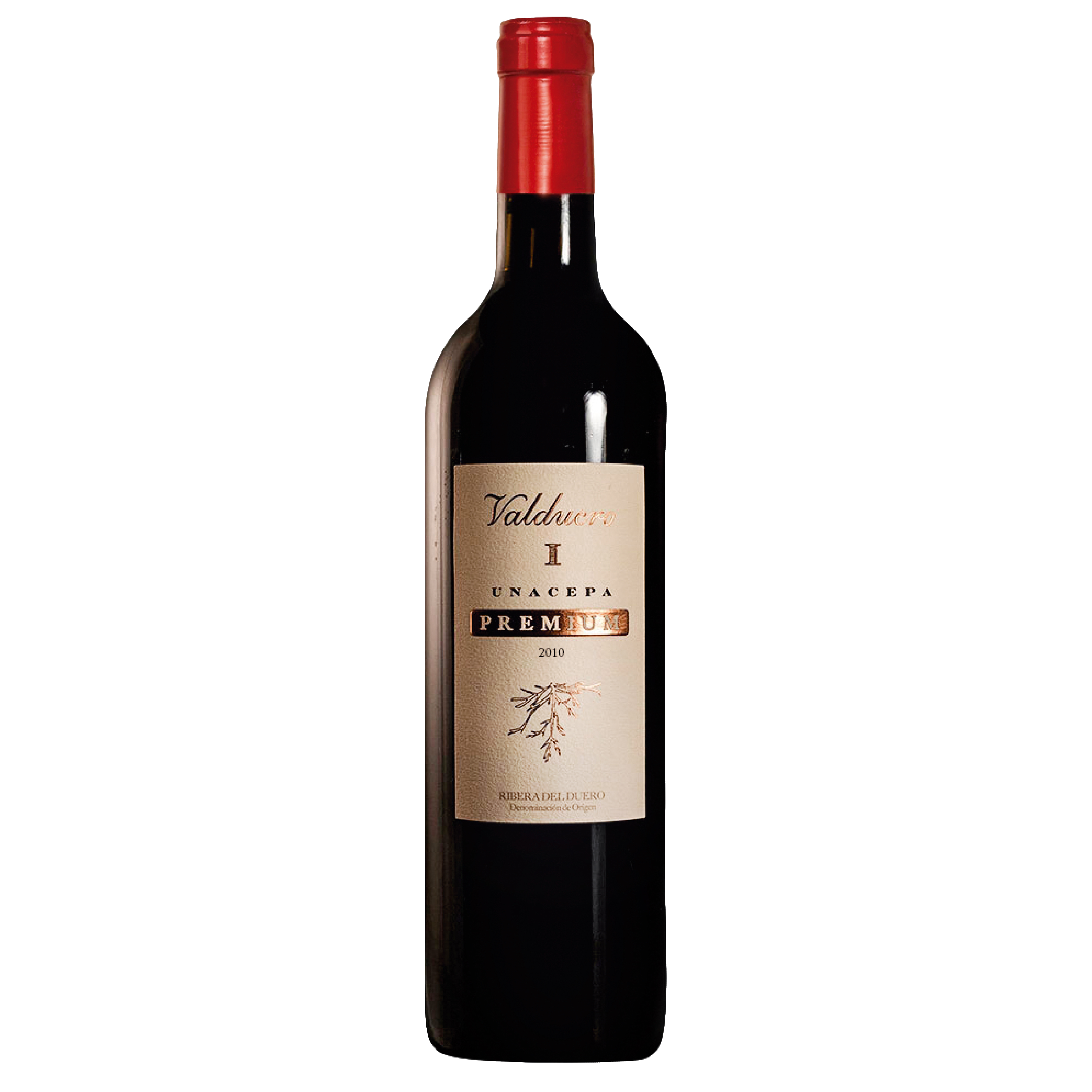 Bodegas Valduero Una Cepa Premium 2011